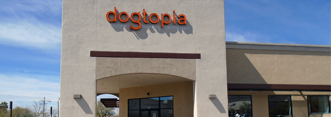 The Dogtopia sign was installed above the arched stone entryway of one location.